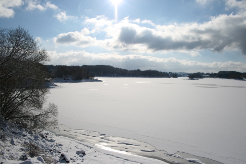 Lacs de l'Artense (La Crégut, Lastioulles...) 2009_019