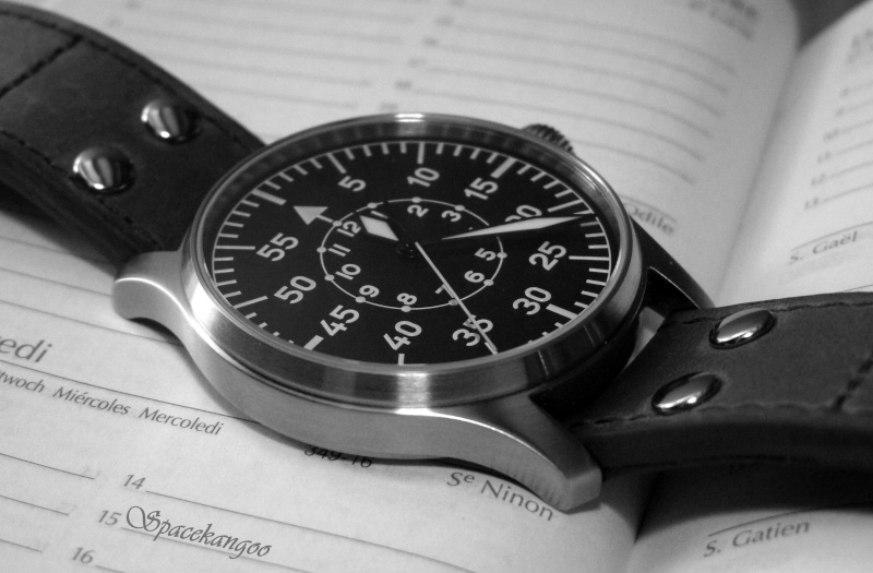 flieger - Stowa Flieger Type B - Baumuster - Page 11 P1010010