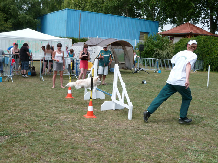 Mon BIC-BIC à l'agility 36844_10