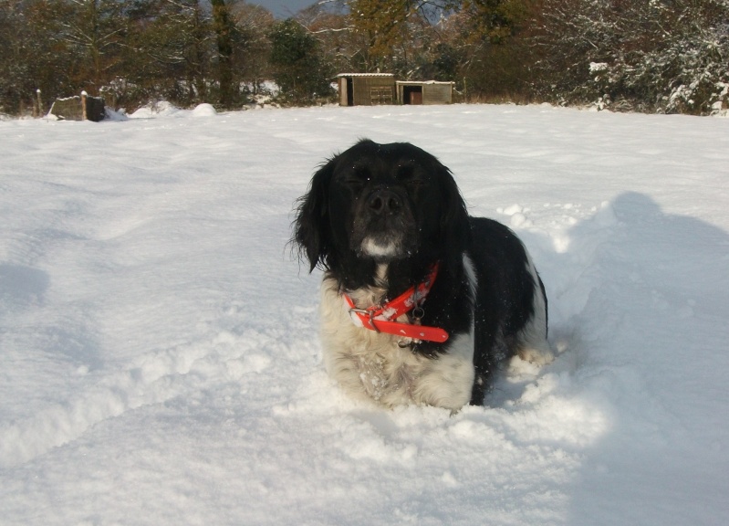 Il neige encore et encore Dscf0312