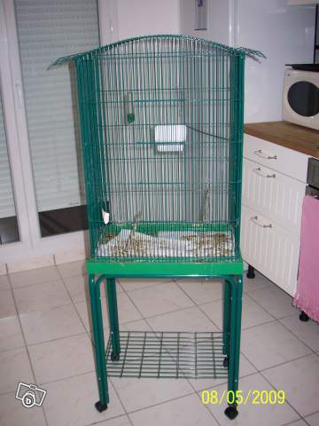 QUELLE cage choisir ? 56194410