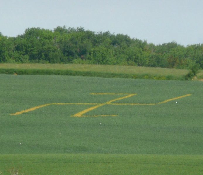 Dans le Gers, une croix gammée dans un champ de blé 20100510
