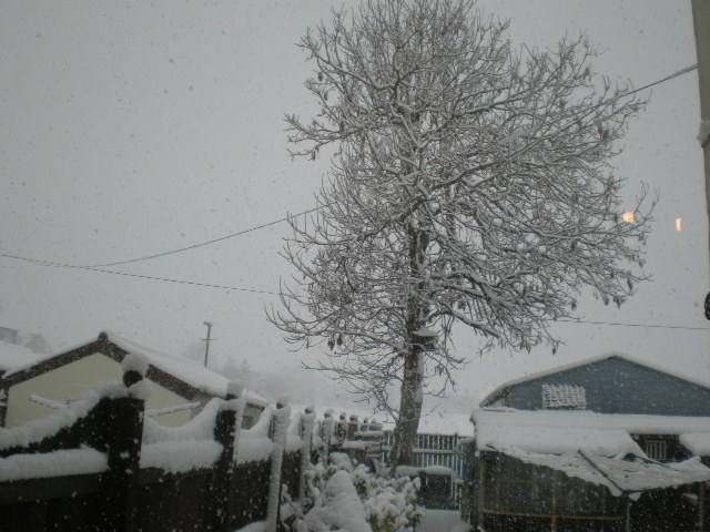 Snow today......... Pb280015