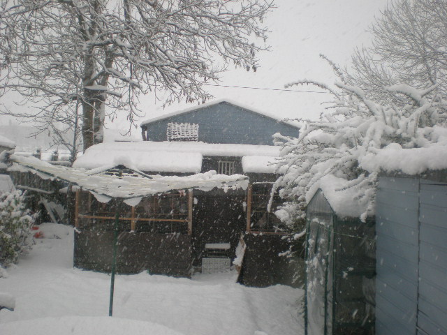 Snow today......... Pb280016