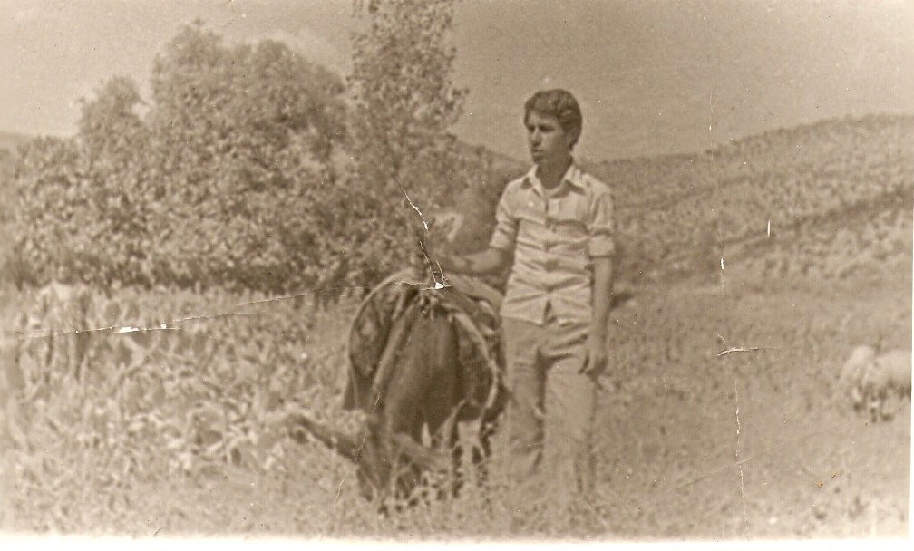 صور قديمة سنة 1980 في قرية هرماشي Skanna10