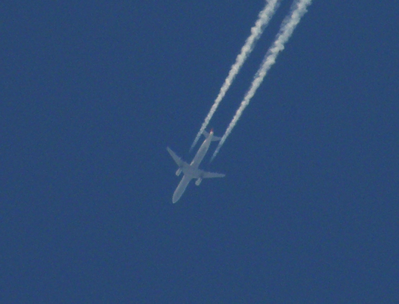 Cluj-Napoca - aeronave in zbor - Pagina 3 P3190012