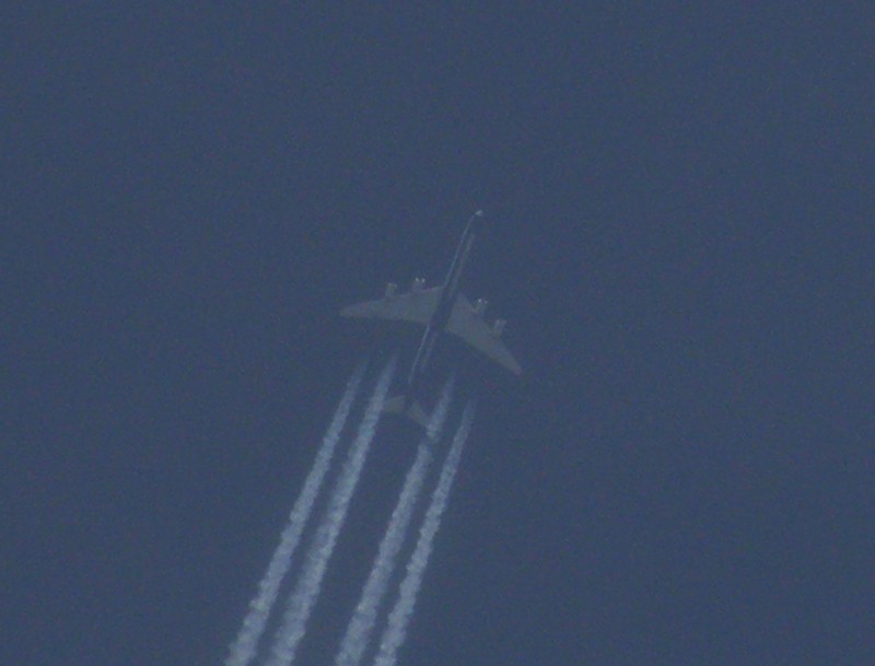 Cluj-Napoca - aeronave in zbor - Pagina 3 P3300011