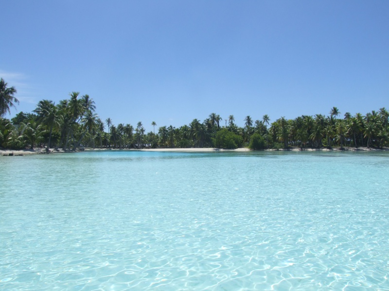 Photos de tahiti, et de ses îles !! - Page 2 03310
