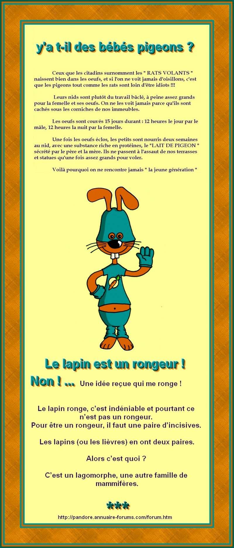 à votre avis le lapin est-il un rongeur ? 00238