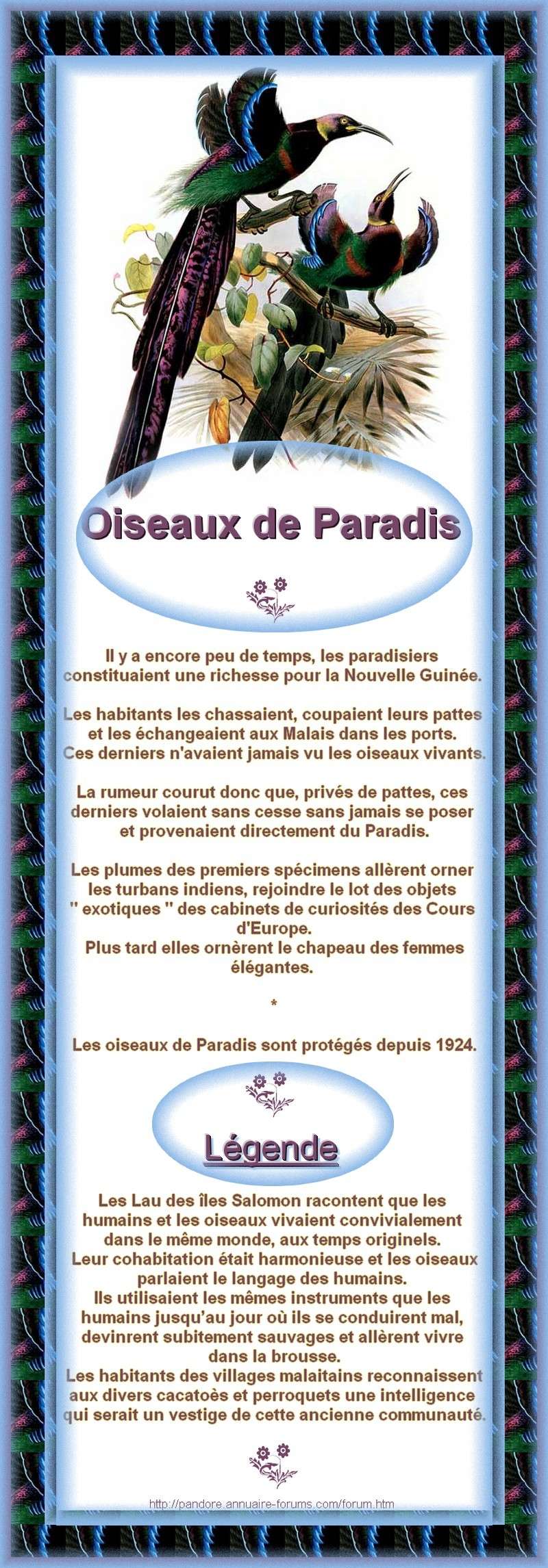 OISEAU DE PARADIS - PARADISIER -  MONNAIE D'ECHANGE - LEGENDE 2193