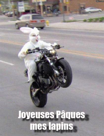 Joyeuses pques ! Normal11