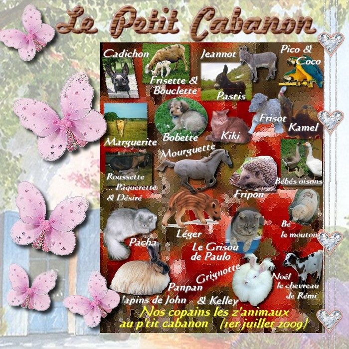 Le Petit Cabanon Avril 2010 - Page 7 Les_an10