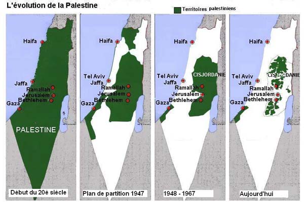 Massacre à gaza - Page 7 11722010