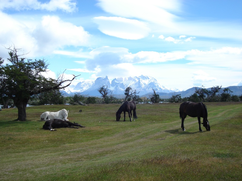 Panorama, gagnante : Kwanita ! Dsc03510