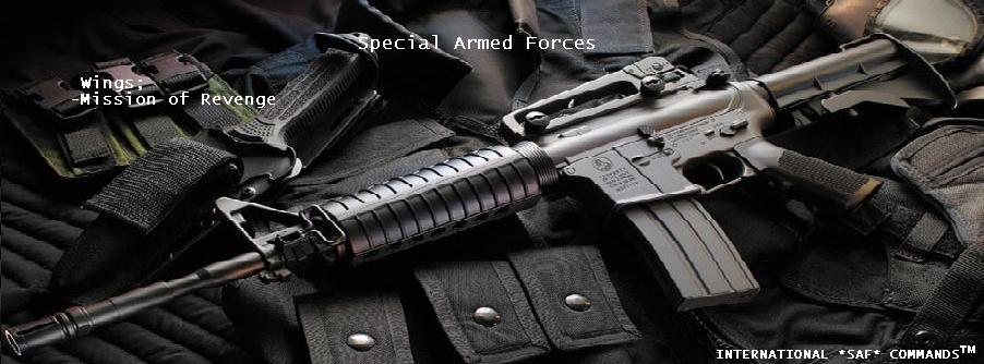 Armed Forces 04022312