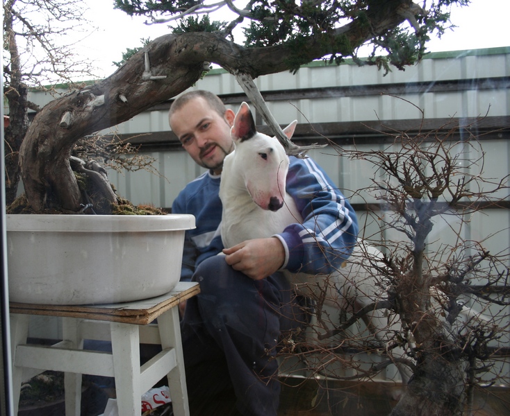 Bonsai with animals - Page 3 Img_0314