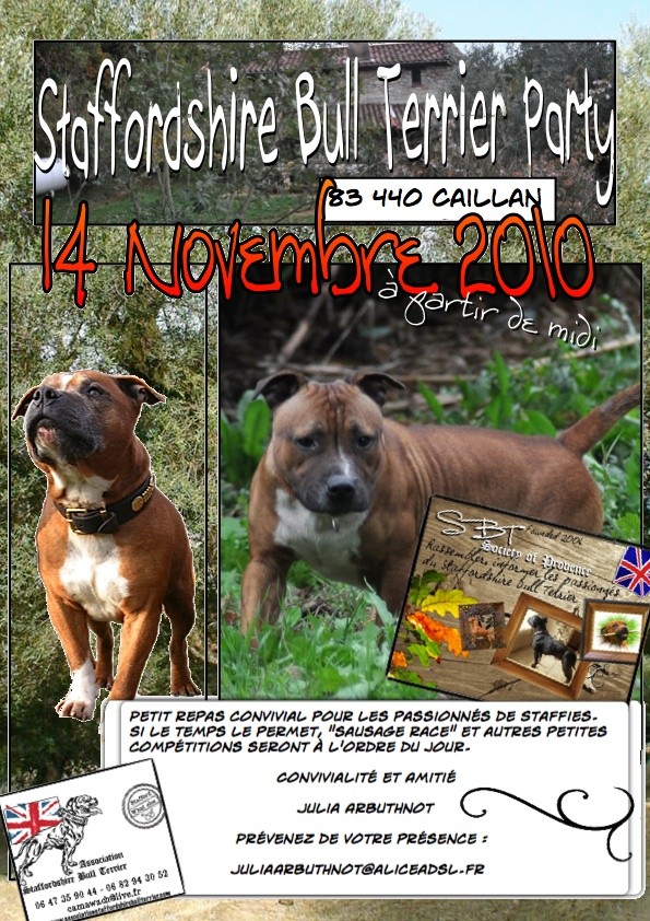 Staffordshire Bull Terrier Party - 14 Novembre 2010  Affich10