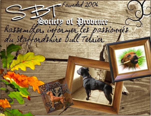 SBT Society of Provence Logo_e37