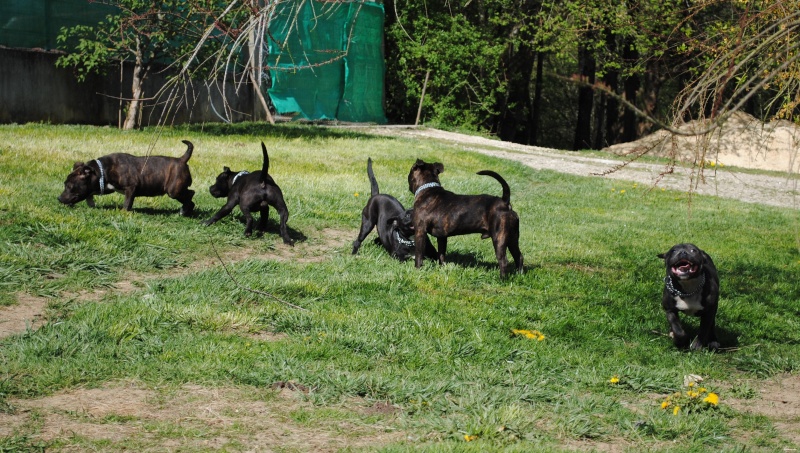 Springtime in Bourgogne ^^ Oaks2361