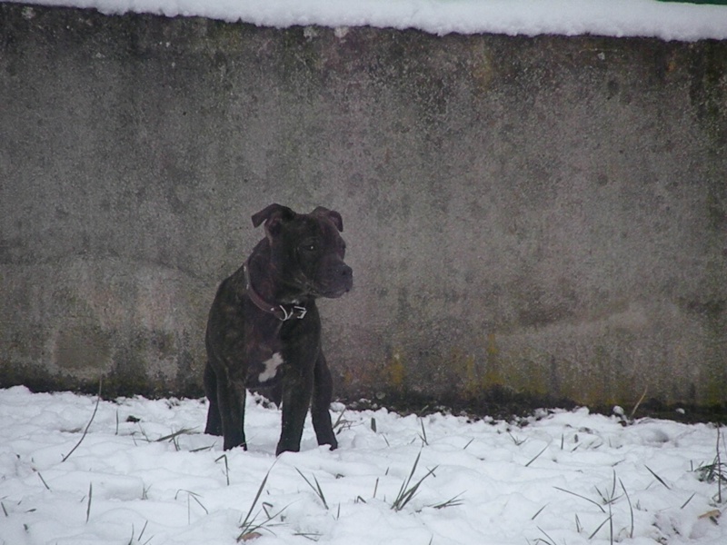 neige et encore neige ^^ St_val26