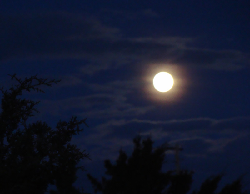 Biggest and Brightest Full Moon of 2010 Tonight Myhamm10
