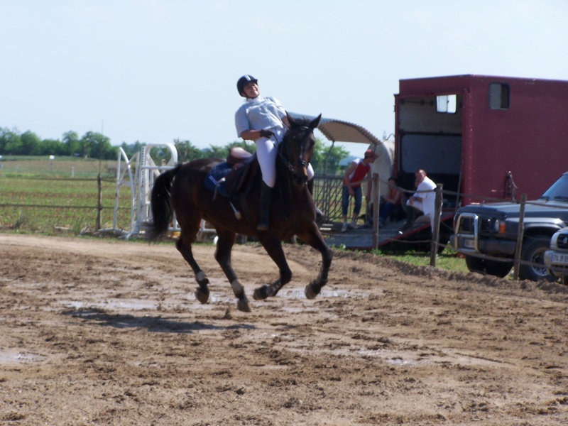 meilleur photos gag cheval Cheval15