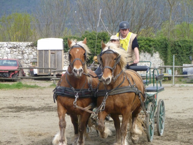 TREC attelé , le 3 avril à Sassenage - Page 5 P1010021