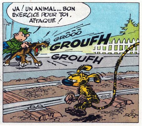 Franquin-ologie - Page 5 Garci240