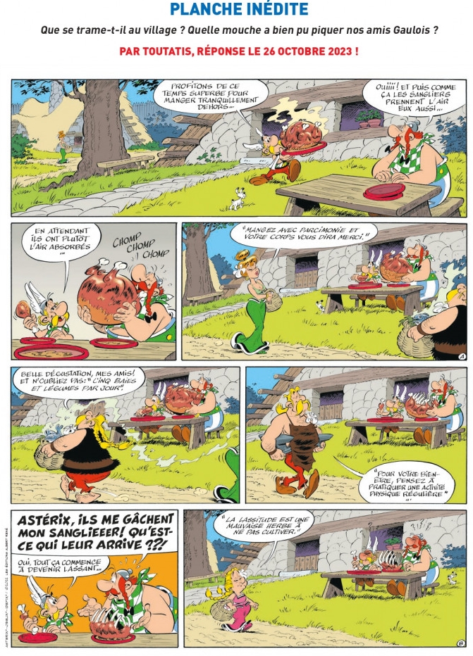 Eternel Astérix ! - Page 23 Iris-b10