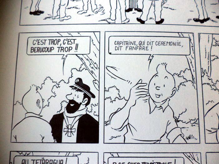 Trouvailles autour de Tintin (deuxième partie) - Page 8 Somon-11