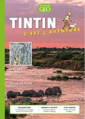 Trouvailles autour de Tintin (deuxième partie) - Page 9 Tintin48