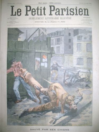 Sauvé par ses chiens - le petit parisien 25 aout 1901 Sauve10