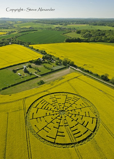 Crop-Circle géant signalé à Wilton Windmill (Angleterre) Cropds10
