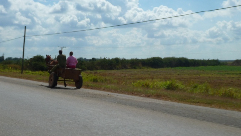 petit séjour à cuba P1060514