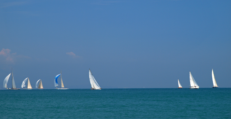 Les voiles d'Antibes P6063910