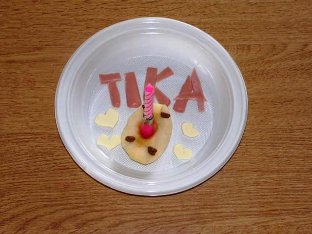 Oggi Tika compie un anno Pict0010