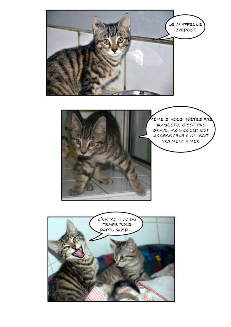 EVEREST (Tabby) Page_183