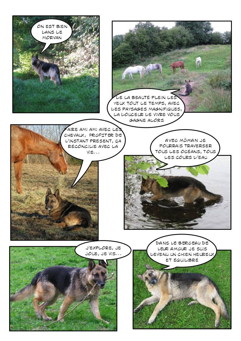 Zeus (berger allemand) - Page 29 Page_249