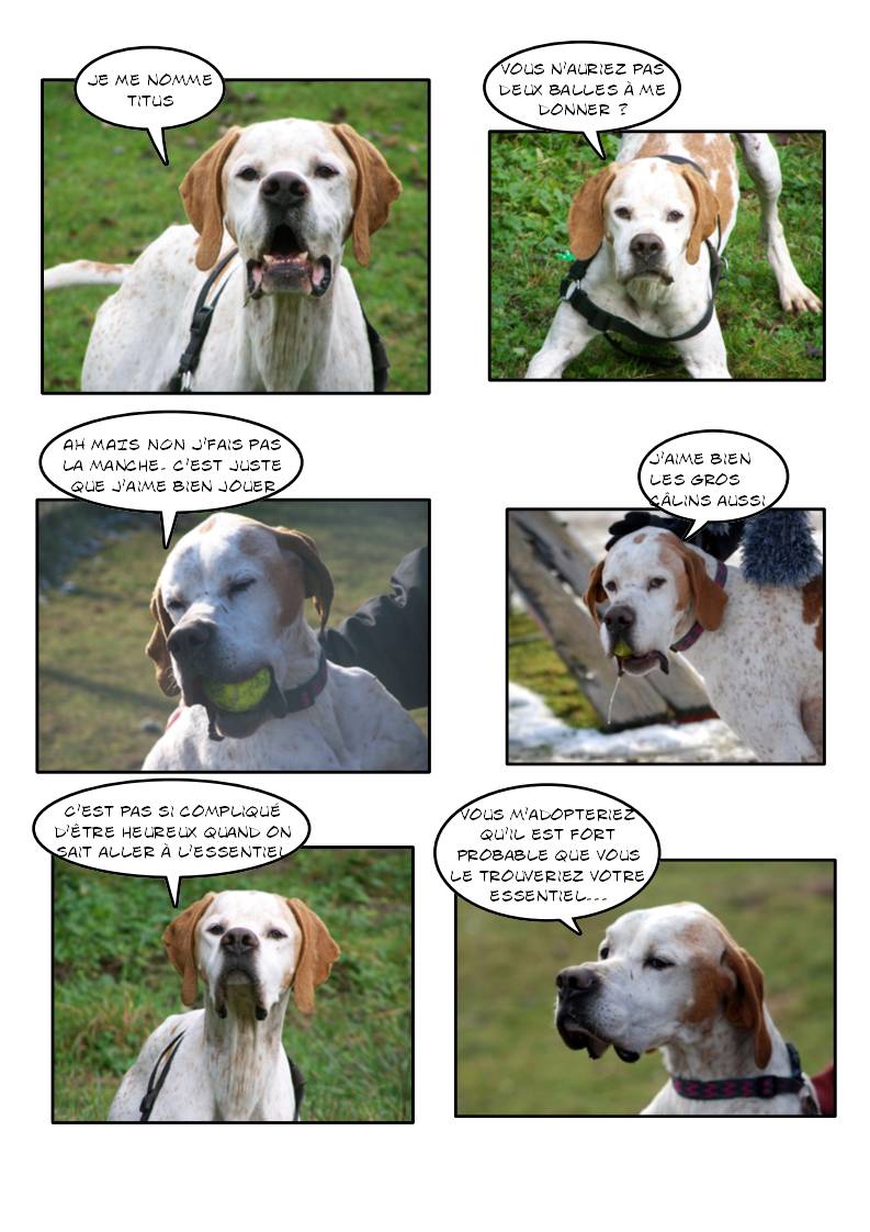 TITUS (Croisé Pointer) - Page 3 Page_260