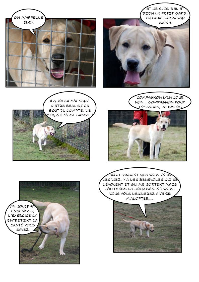 EDEN (Labrador beige) Page_288