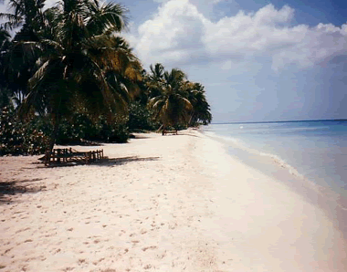 The beach! YAY! Beach10