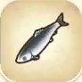 La pesca y lista de peces Arenqu10