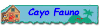 Indice de guías, trucos y catálogos Cayo_f10