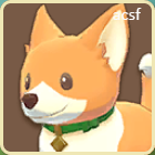 Enciclopedia animal de Harvest Moon The Winds of Anthos Corgi_16