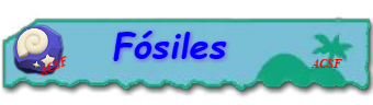 Lista de fósiles  Fzsile10