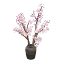 Temporada de Cerezos en flor Jarrzn10