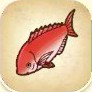 La pesca y lista de peces Tailan10