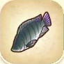 La pesca y lista de peces Tilapi11