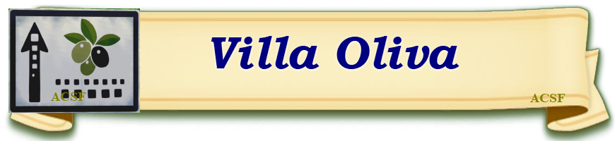 Indice de guías de Story of de Seasons: Pioneers of Olive Town Villa_10