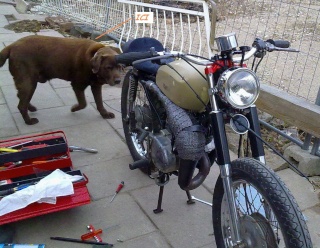 Ma RS cafe racer Chien10